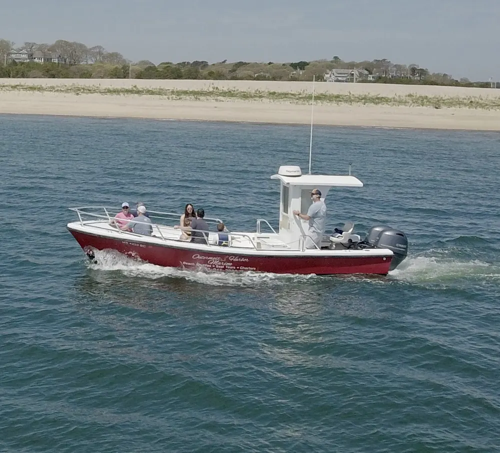 Combo tour — seals and beach