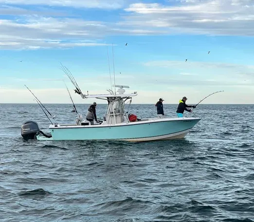Isla Grace charter vessel