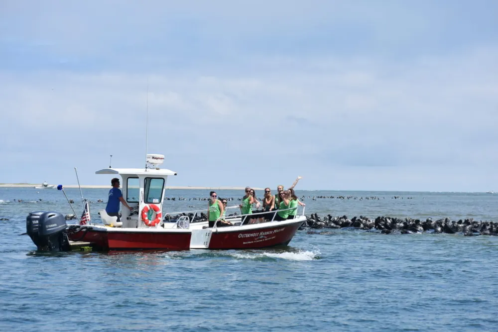 Guests on a seal tour out of Chatham